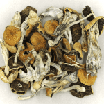 Full Moon Party | Shroom Shop Canada