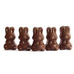 Alice - Mushroom Milk Chocolate - 2.5g | Shroom Shop Canada