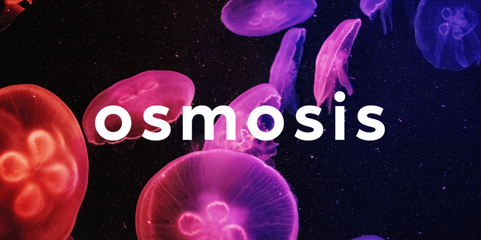 Zoomies osmosis banner | Shroom Shop Canada
