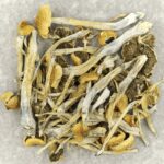 Trinity | Shroom Shop Canada