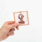 Wonder – Psilocybin Chocolate Bar – Blood Orange | Shroom Shop Canada
