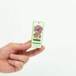 Wonder – Psilocybin Chocolate Bar – Dark Chocolate | Shroom Shop Canada
