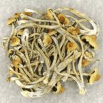 Hautla | Shroom Shop Canada