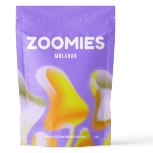 Malabar Coast | Shroom Shop Canada