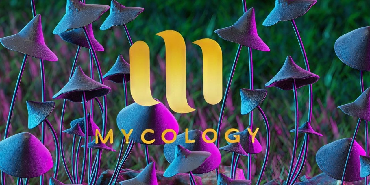 Zoomies Summer 2023 Banner - Mycology | Shroom Shop Canada