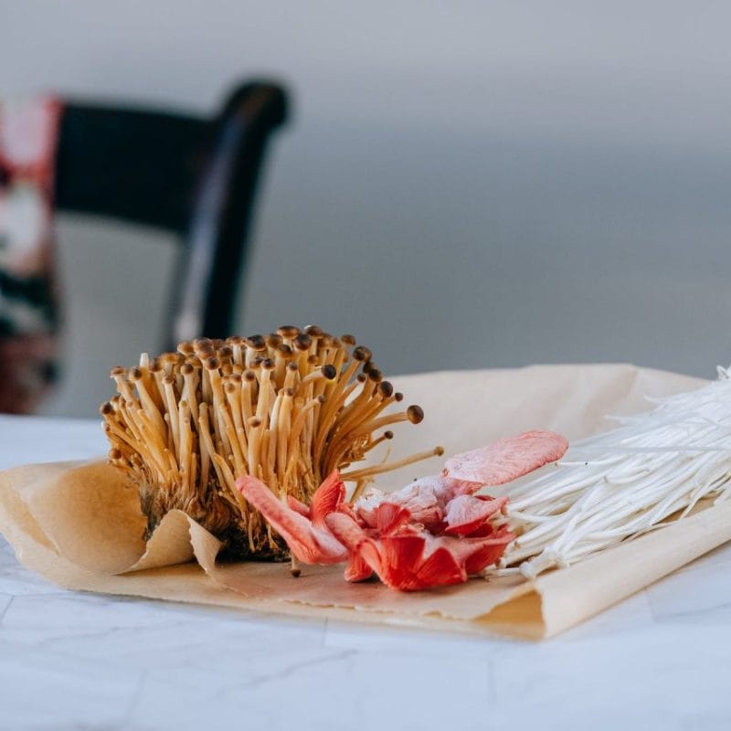 Buy Shrooms Online Canada (1) | Shroom Shop Canada
