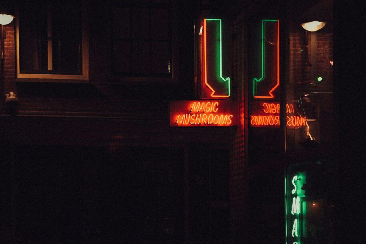 Vancouver Mushroom Dispensary – How Canada Is Keeping Pace with the US’s Mushroom Surge?